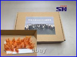 La Salamandre 196 310mm 12 POF Cherry Version Wooden Model Ship Kit Unassemble