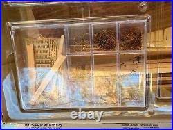 NEW Artesania King Of The Mississippi Paddle Steamer 180 Model Boat Kit 20505